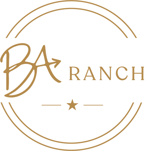 Branded Arrow LLC